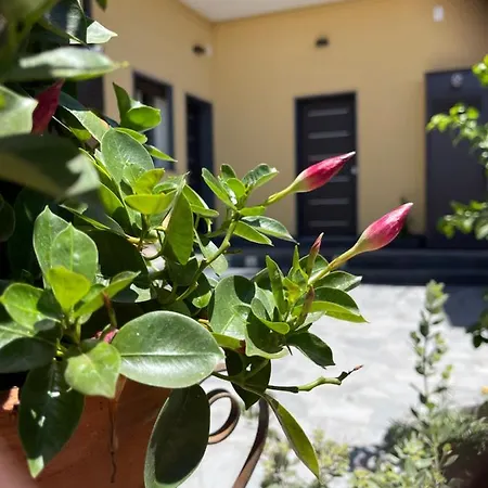 Holiday home “i Niputeddi” *